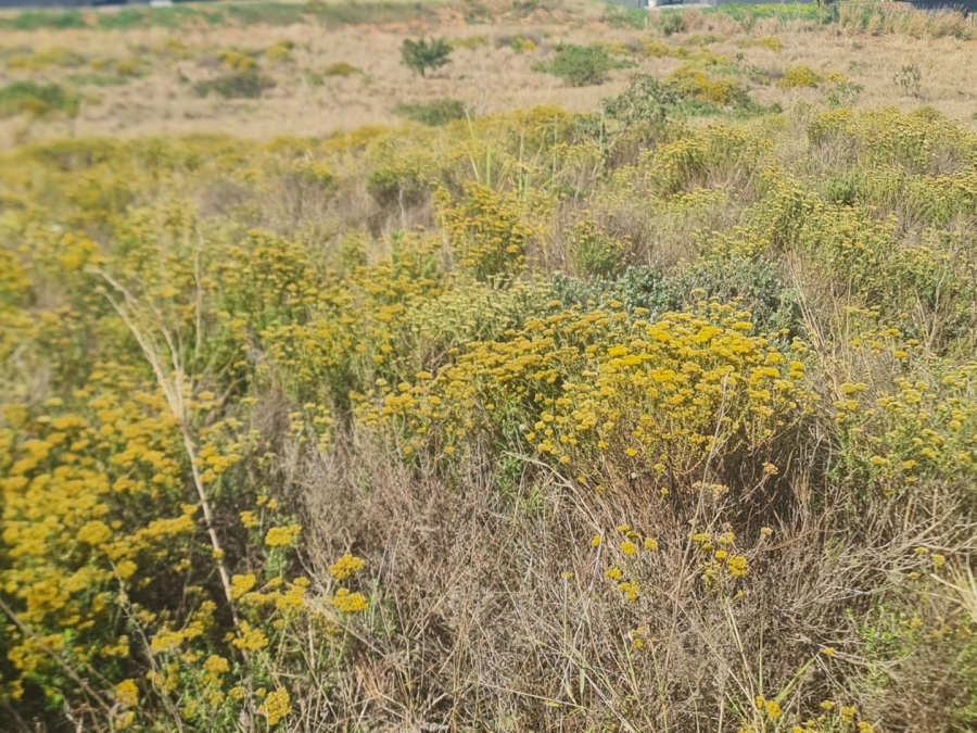 0 Bedroom Property for Sale in Sheffield Beach KwaZulu-Natal