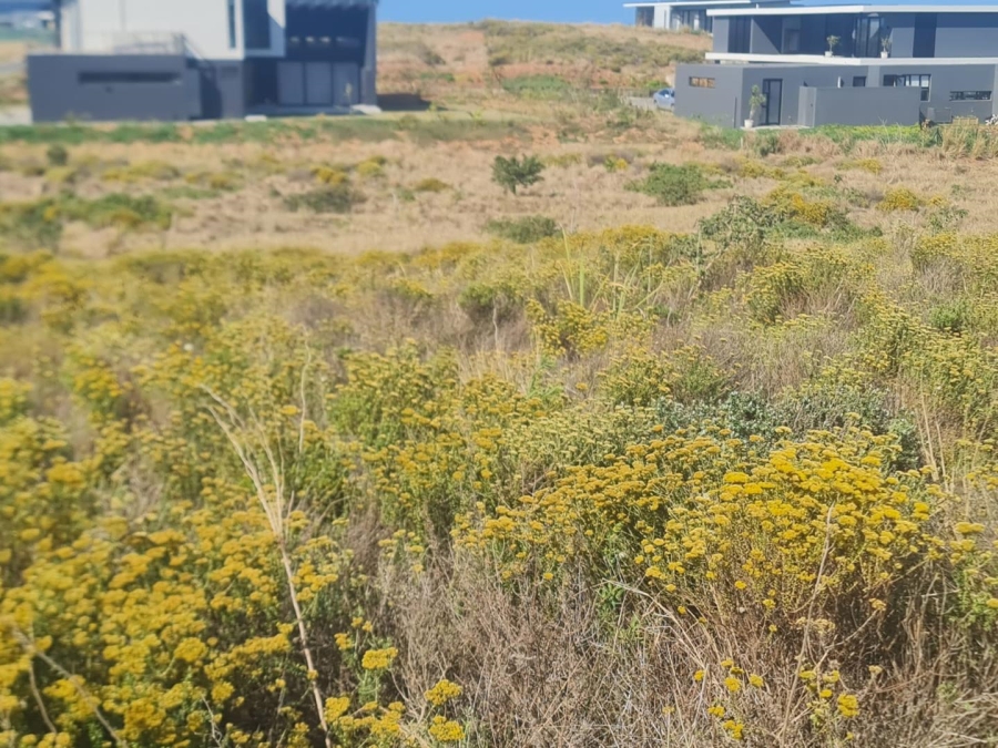 0 Bedroom Property for Sale in Sheffield Beach KwaZulu-Natal