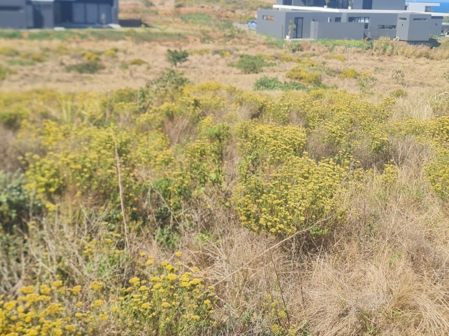 0 Bedroom Property for Sale in Sheffield Beach KwaZulu-Natal