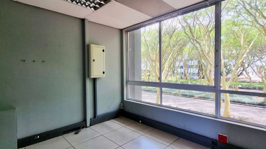 To Let 0 Bedroom Property for Rent in Somerset Park KwaZulu-Natal