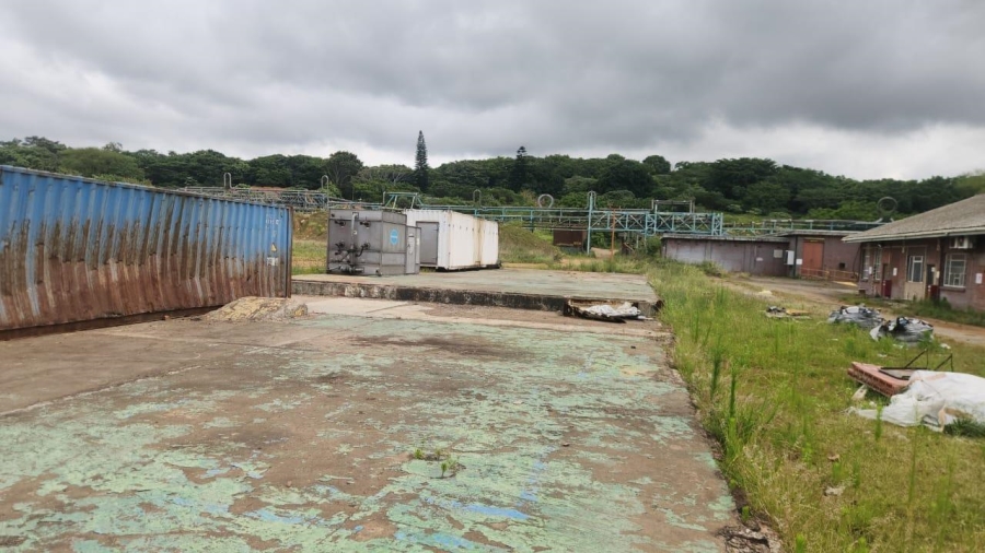 To Let commercial Property for Rent in Umbogintwini KwaZulu-Natal