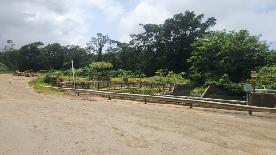 To Let commercial Property for Rent in Umbogintwini KwaZulu-Natal