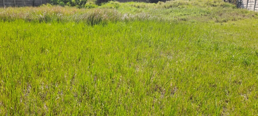 Commercial Property for Sale in Birdswood KwaZulu-Natal