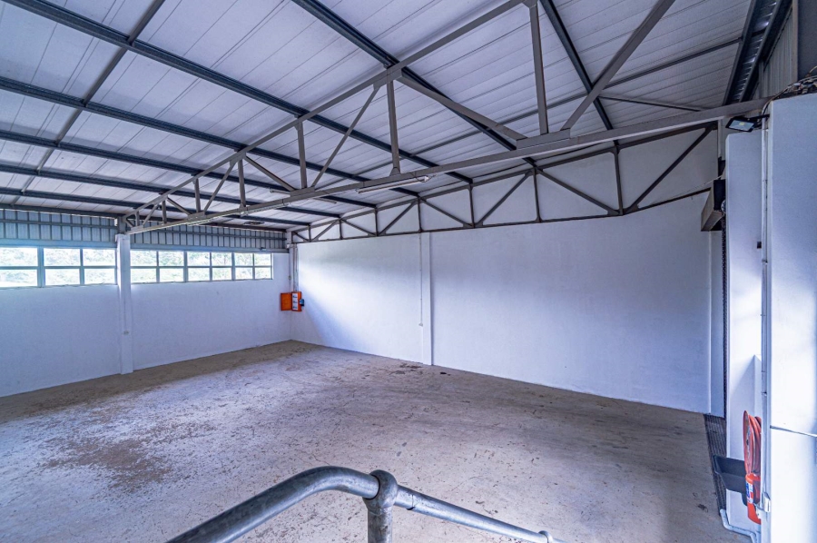 To Let commercial Property for Rent in Hillcrest KwaZulu-Natal