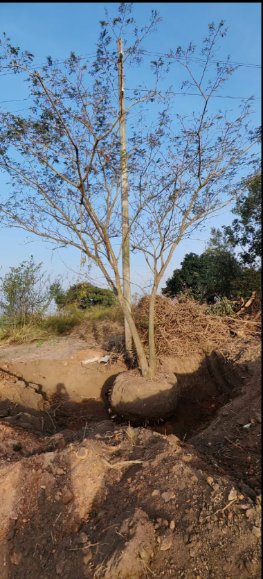 0 Bedroom Property for Sale in Ballito KwaZulu-Natal