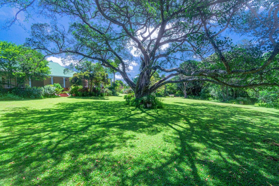 6 Bedroom Property for Sale in Kloof KwaZulu-Natal