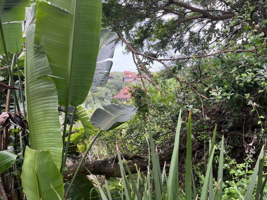 0 Bedroom Property for Sale in Zimbali Coastal Resort Estate KwaZulu-Natal