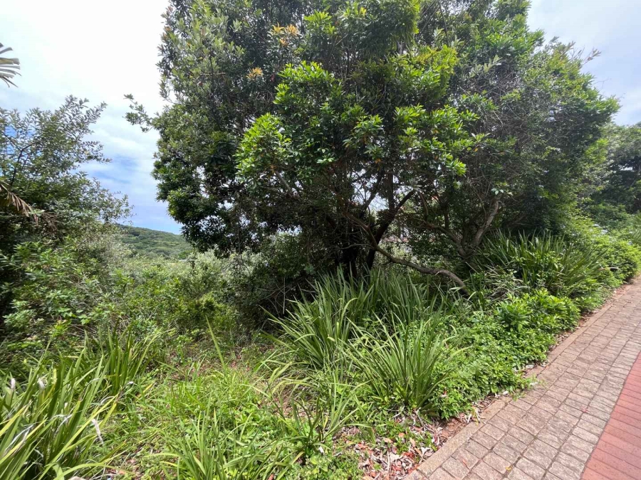 0 Bedroom Property for Sale in Zimbali Coastal Resort Estate KwaZulu-Natal