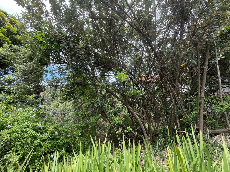 0 Bedroom Property for Sale in Zimbali Coastal Resort Estate KwaZulu-Natal