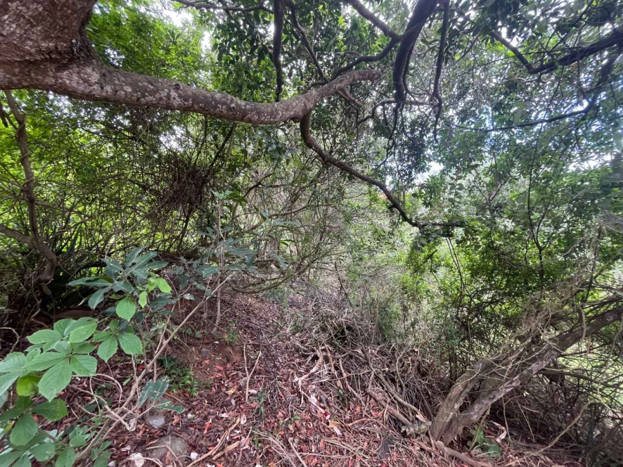 0 Bedroom Property for Sale in Zimbali Coastal Resort Estate KwaZulu-Natal