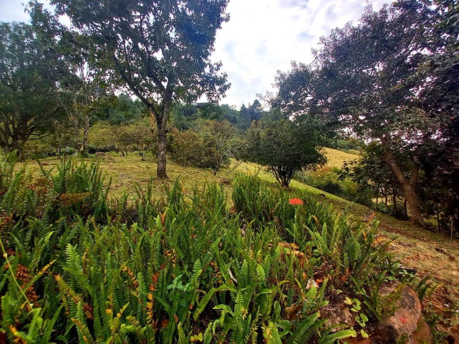 To Let 1 Bedroom Property for Rent in Assagay KwaZulu-Natal