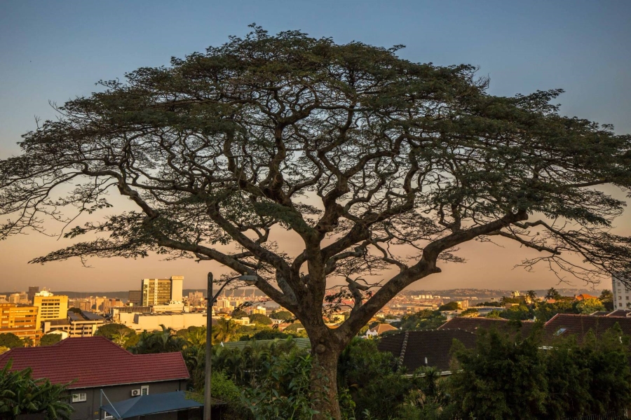 3 Bedroom Property for Sale in Essenwood KwaZulu-Natal