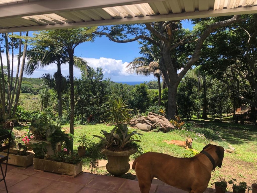 Commercial Property for Sale in Umzumbe KwaZulu-Natal