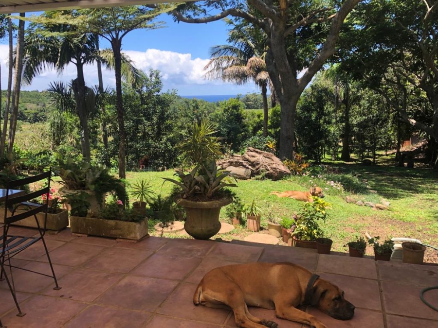 Commercial Property for Sale in Umzumbe KwaZulu-Natal