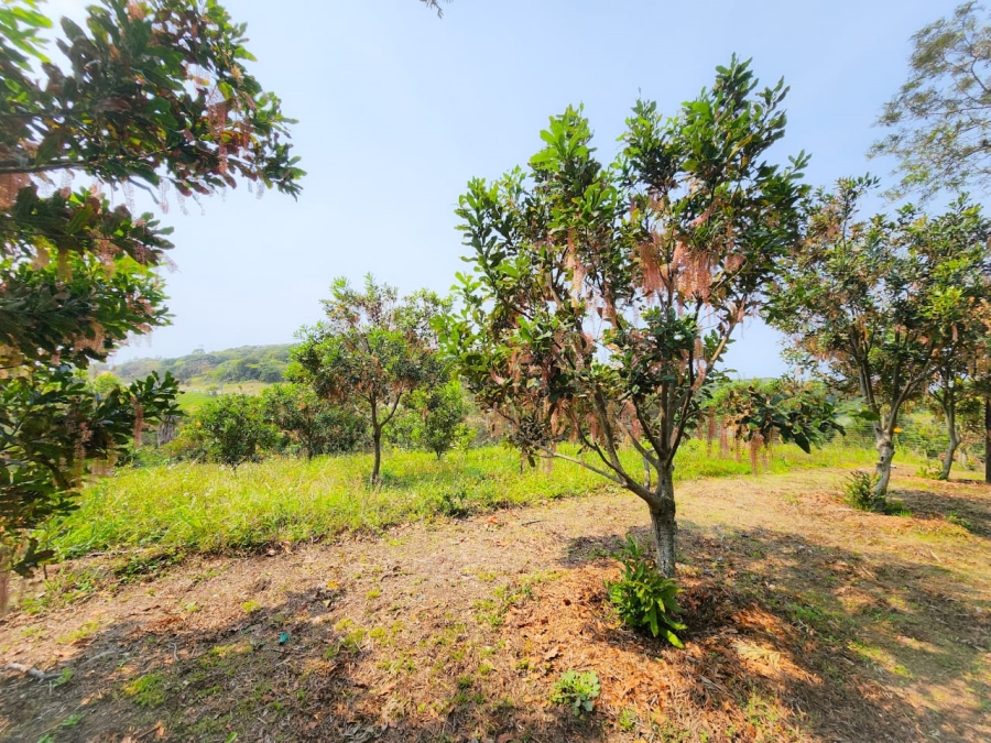Commercial Property for Sale in Umzumbe KwaZulu-Natal