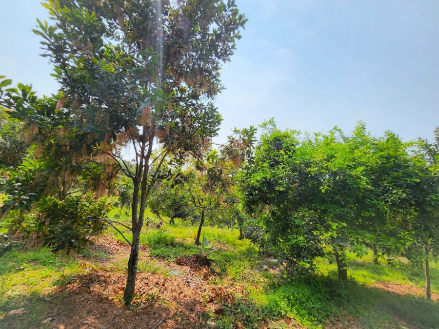 Commercial Property for Sale in Umzumbe KwaZulu-Natal