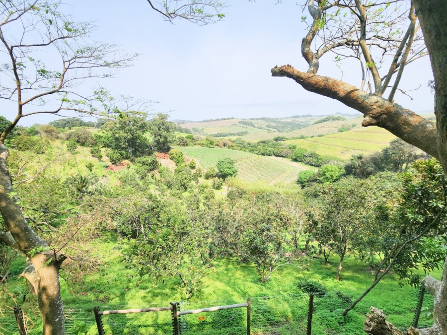 Commercial Property for Sale in Umzumbe KwaZulu-Natal