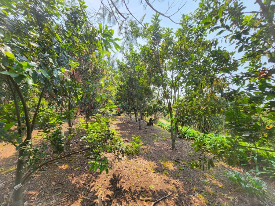 Commercial Property for Sale in Umzumbe KwaZulu-Natal