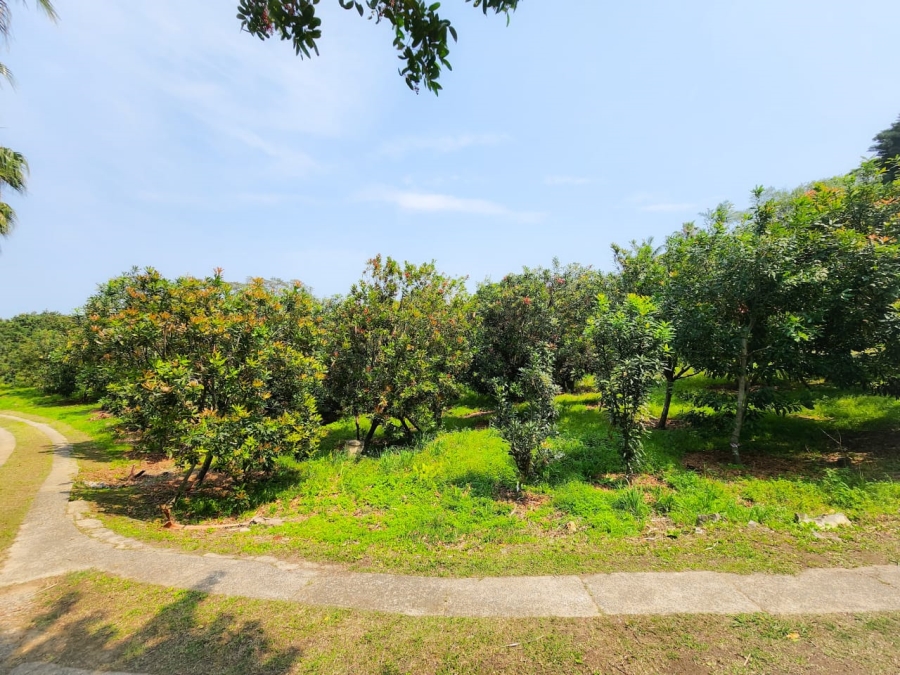 Commercial Property for Sale in Umzumbe KwaZulu-Natal