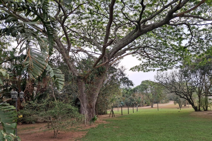 Commercial Property for Sale in Port Shepstone KwaZulu-Natal