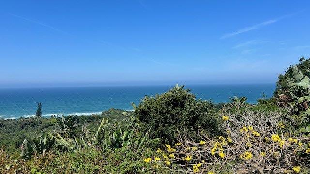 3 Bedroom Property for Sale in Trafalgar KwaZulu-Natal