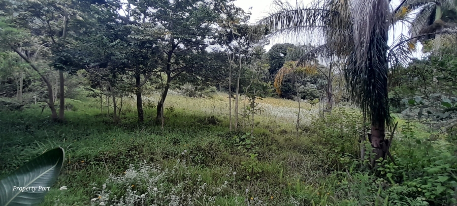 Commercial Property for Sale in Marina Beach KwaZulu-Natal