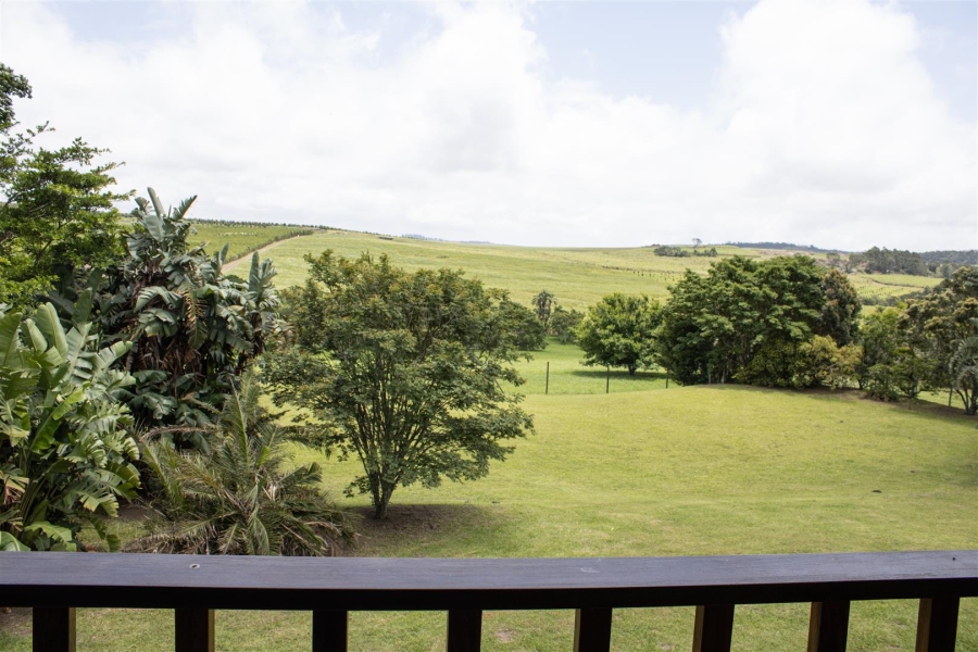 Commercial Property for Sale in Paddock KwaZulu-Natal