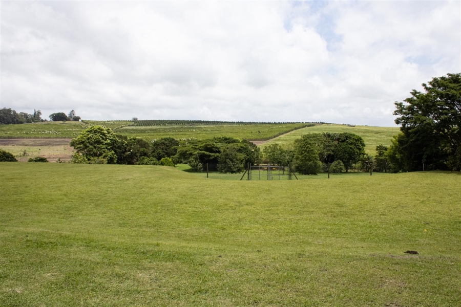 Commercial Property for Sale in Paddock KwaZulu-Natal