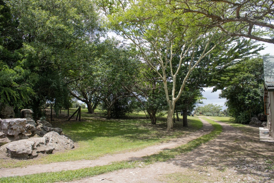 Commercial Property for Sale in Paddock KwaZulu-Natal