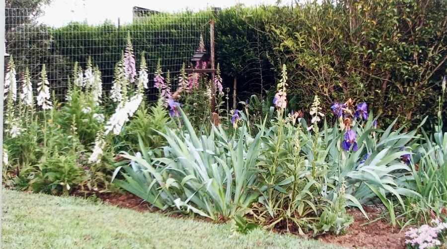 3 Bedroom Property for Sale in Boston KwaZulu-Natal