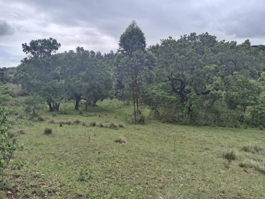 Commercial Property for Sale in Ongoye KwaZulu-Natal