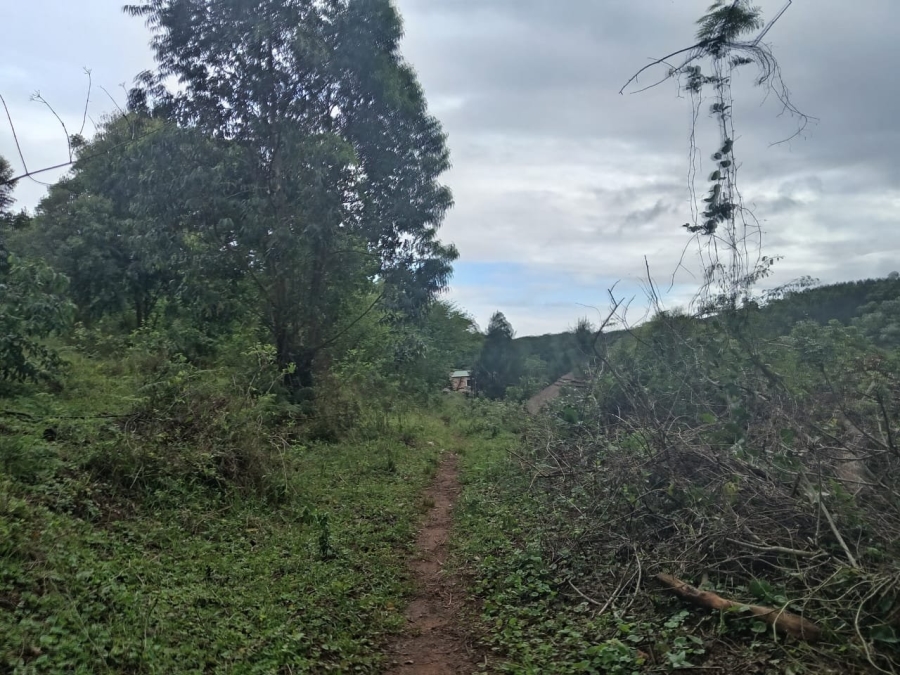 Commercial Property for Sale in Ongoye KwaZulu-Natal
