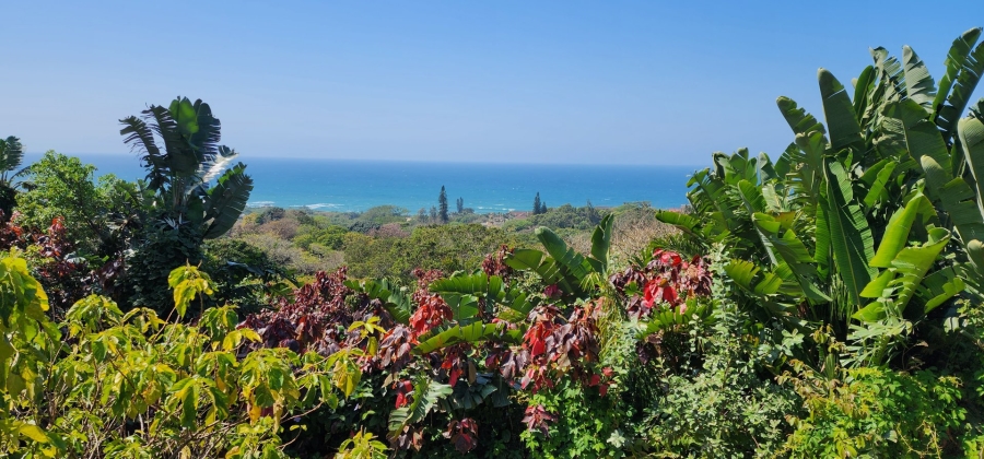3 Bedroom Property for Sale in Anerley KwaZulu-Natal