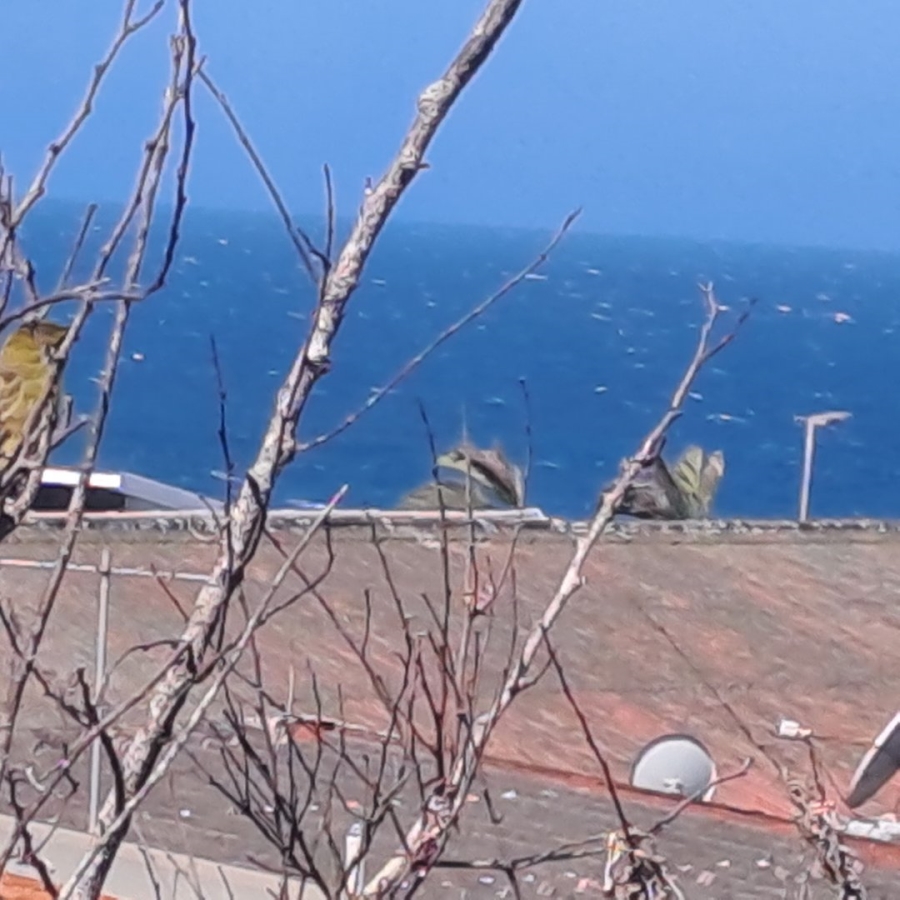 1 Bedroom Property for Sale in Scottburgh Central KwaZulu-Natal