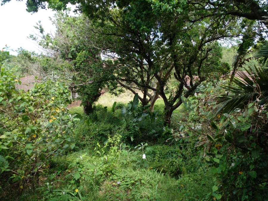 Commercial Property for Sale in Leisure Bay KwaZulu-Natal