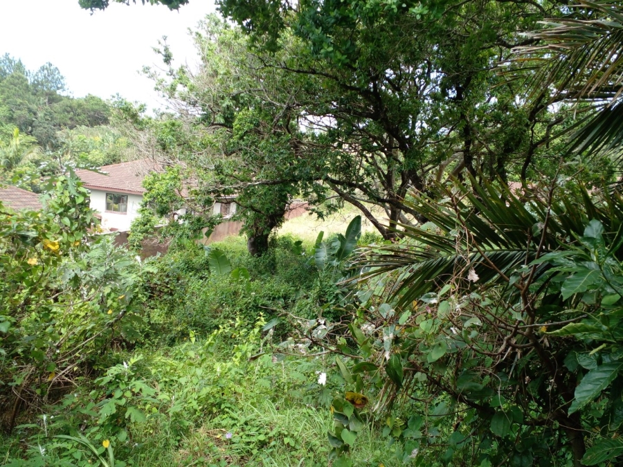 Commercial Property for Sale in Leisure Bay KwaZulu-Natal