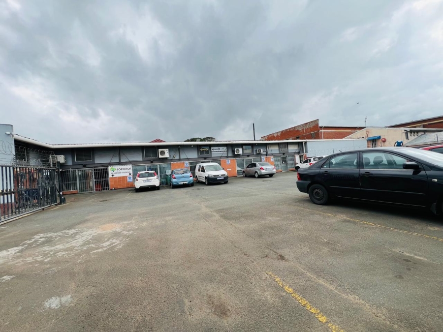 To Let commercial Property for Rent in Bulwer KwaZulu-Natal