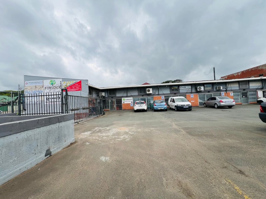 To Let commercial Property for Rent in Bulwer KwaZulu-Natal