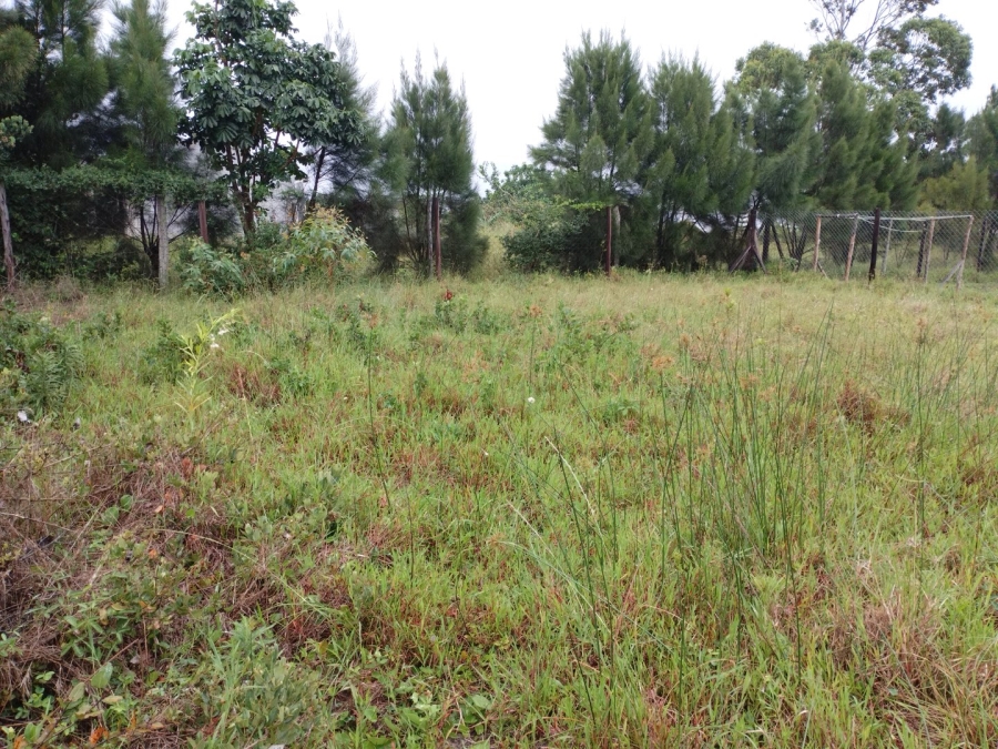 Commercial Property for Sale in Mzingazi KwaZulu-Natal