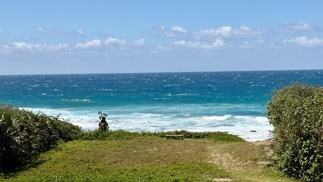 4 Bedroom Property for Sale in Shelly Beach KwaZulu-Natal
