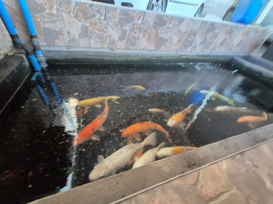 4 Bedroom Property for Sale in Isipingo Hills KwaZulu-Natal