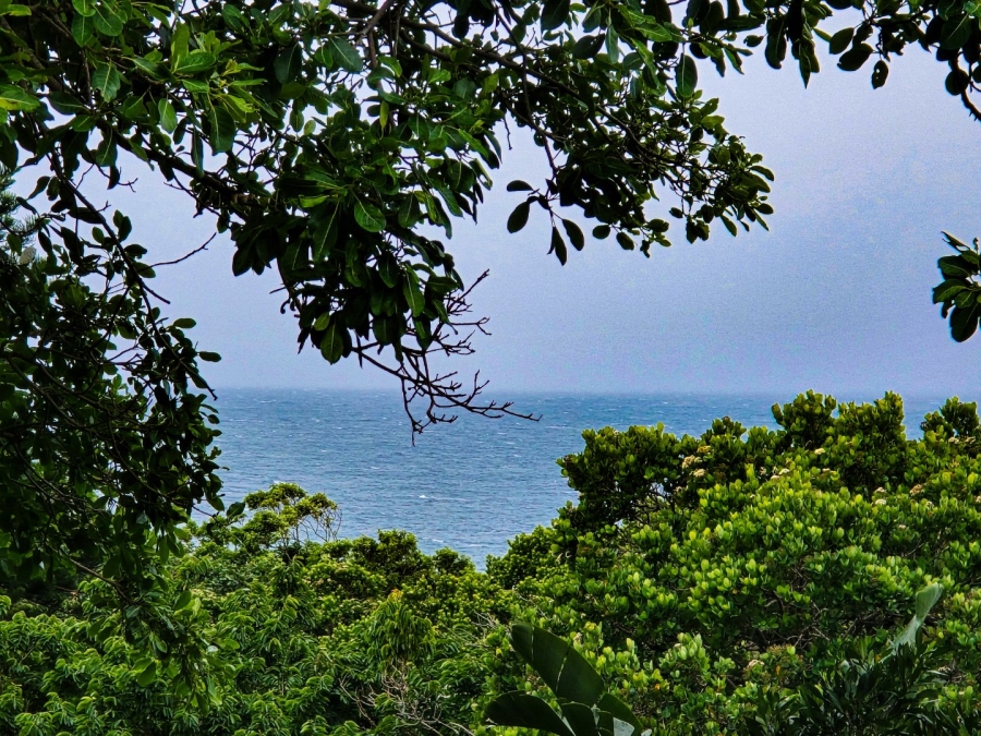 4 Bedroom Property for Sale in Leisure Bay KwaZulu-Natal