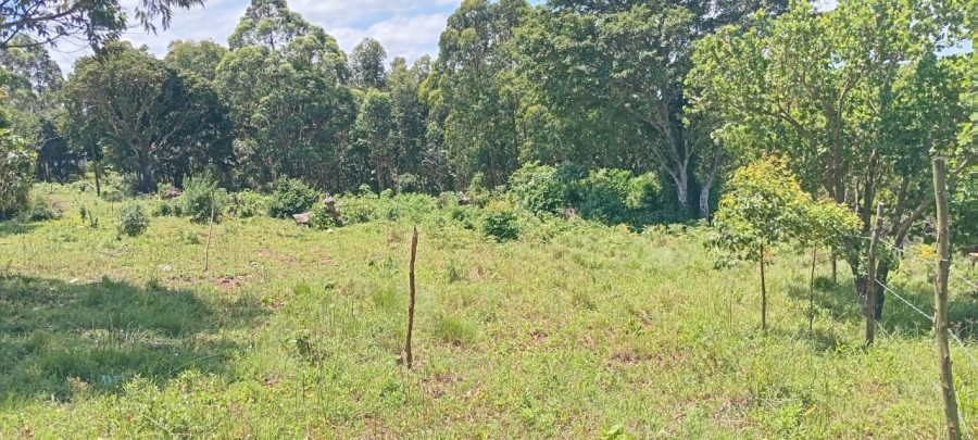 Commercial Property for Sale in Ongoye KwaZulu-Natal