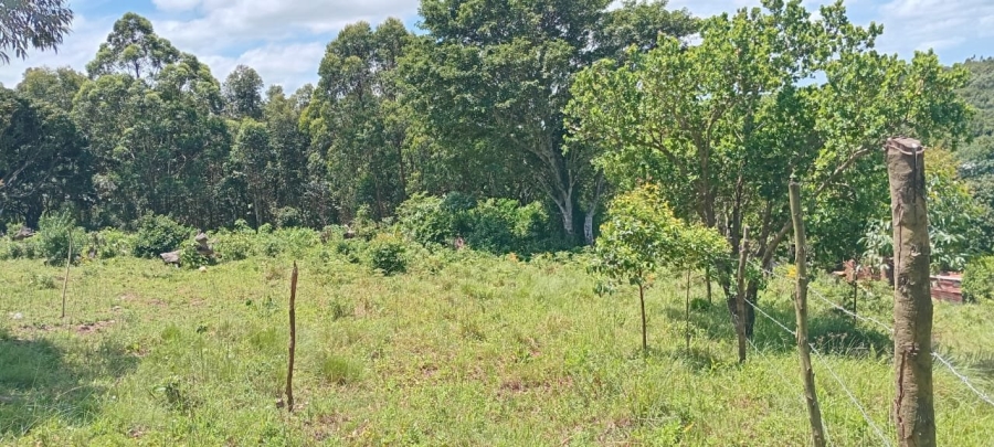 Commercial Property for Sale in Ongoye KwaZulu-Natal