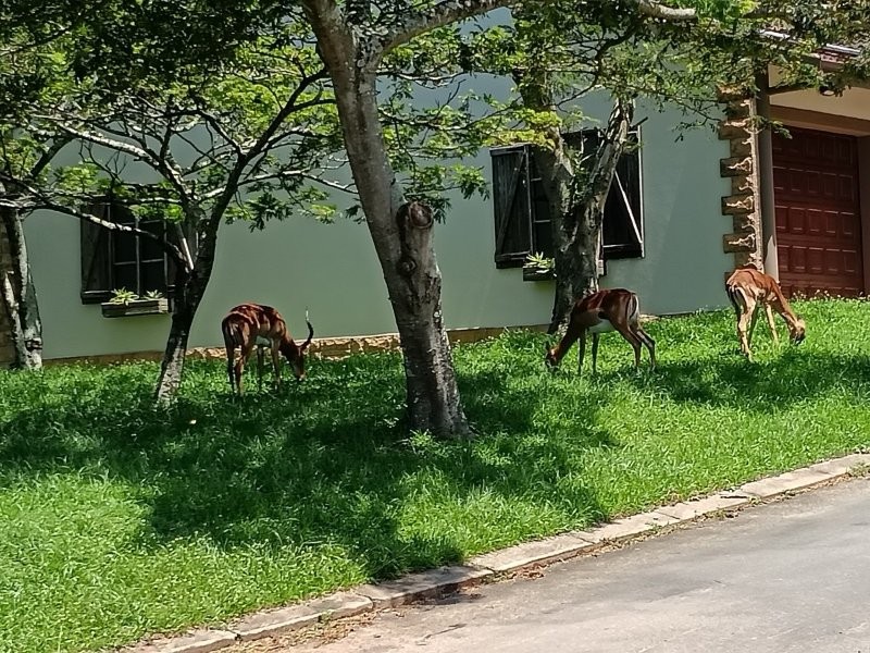 Commercial Property for Sale in Pennington KwaZulu-Natal