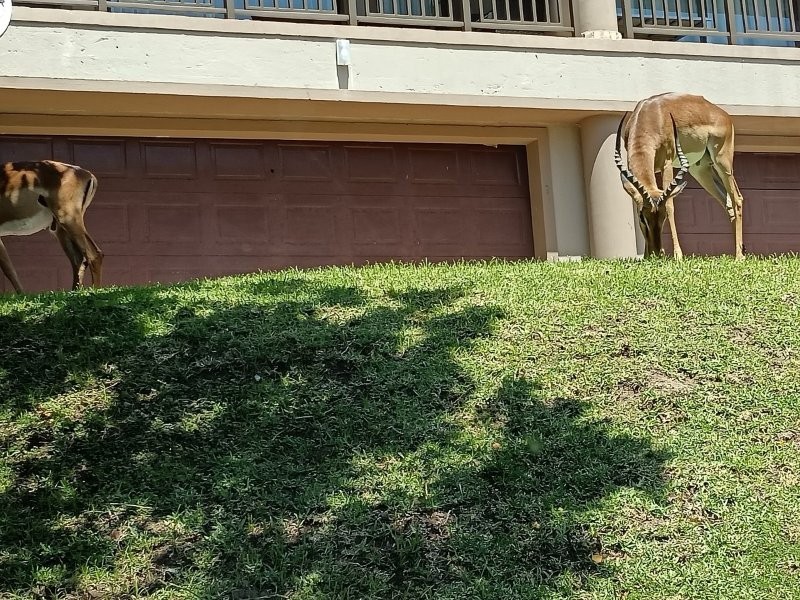 Commercial Property for Sale in Pennington KwaZulu-Natal