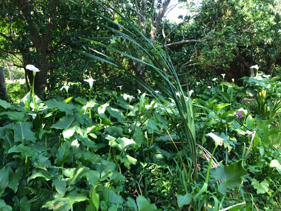 3 Bedroom Property for Sale in Sea Park KwaZulu-Natal