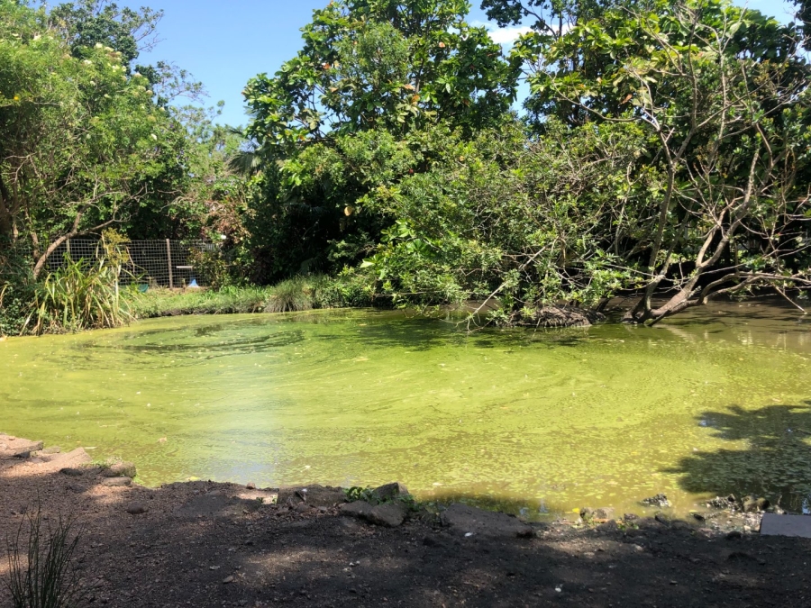 3 Bedroom Property for Sale in Sea Park KwaZulu-Natal