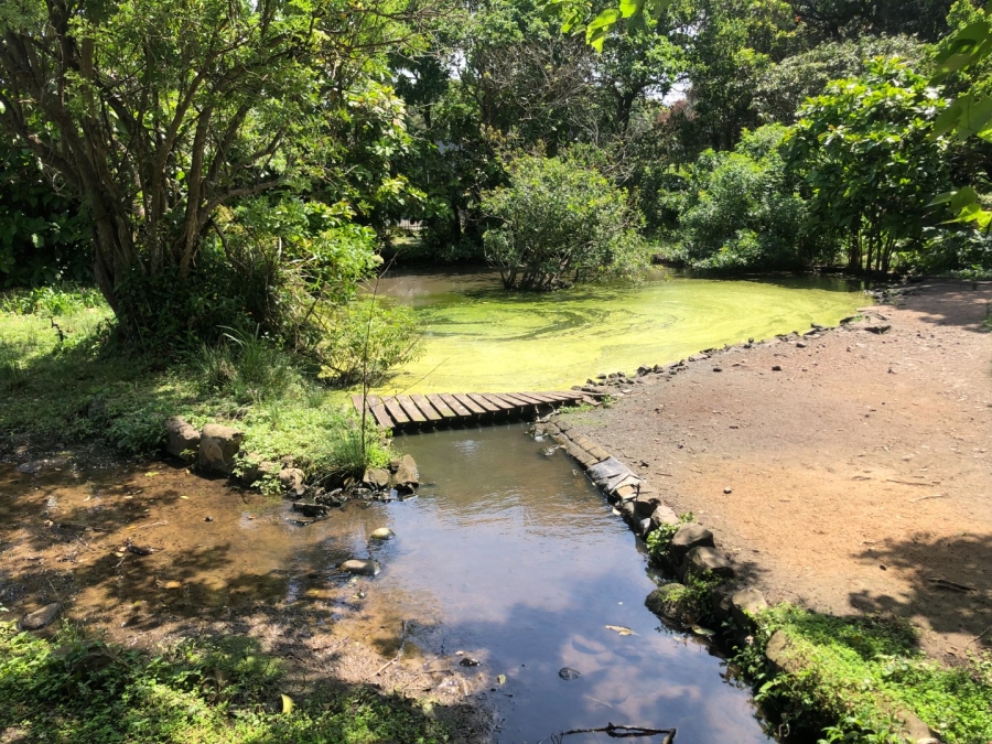 3 Bedroom Property for Sale in Sea Park KwaZulu-Natal