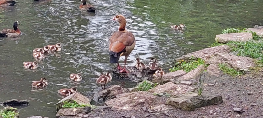 3 Bedroom Property for Sale in Sea Park KwaZulu-Natal